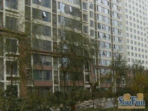 盛今佳园3室2厅南北