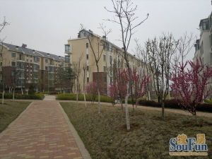 香海小镇多层洋房装修好的南北通厅中间楼层带南北阳台