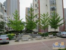 3A级景区旁松峪里 稀有多层一楼三室 松林开7