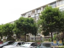 丽园B区 2室2厅 南 北