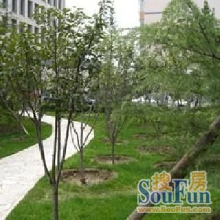 双林苑实景图