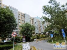 大河庄苑 满五年 精装修 中高层 视野好 院内安静