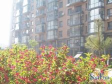 小区内难得出现得好房,位置好,楼层好,装修好