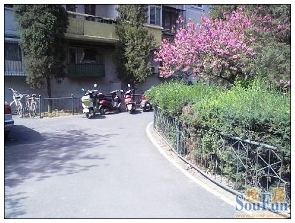 万泉庄1号院实景图