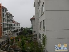 滨海路海景双拼别墅 近300平院子 实用面积大于500平