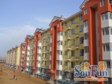 石泉砖厂B9区 1室1厅 南