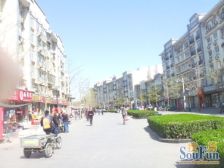 天桥北里1室1厅南北