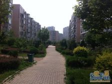 近西安路,电梯房,两室南北通厅。