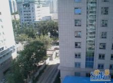 北二环地坛公园北面就是自家房南北通透板楼三居好停车