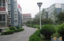 宝盛里观澳园实景图