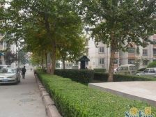 影山花园 南北通透 两室朝阳 双气 带地下室