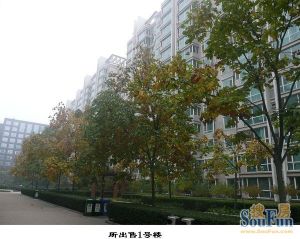 此房满五年业主只有一套,朝南中高层没有遮挡两居两卫