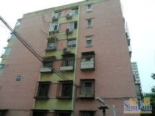 皂君庙·皂君东里·3室·1厅