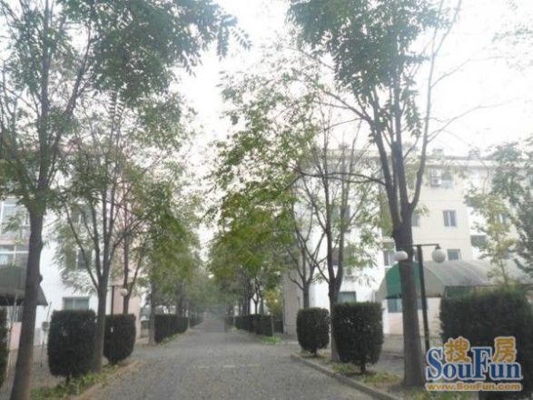 龙城花园一期实景图