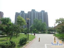 嘉铭桐城F区1室0厅东