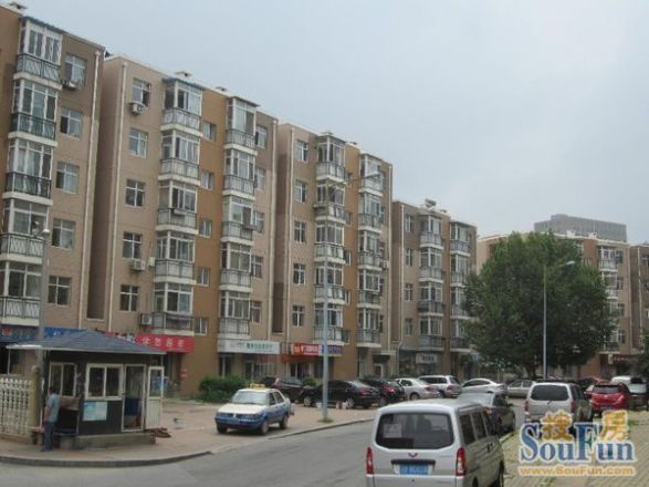 阳光月秀实景图