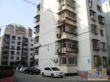 苹果园小区三区 2室1厅 东南