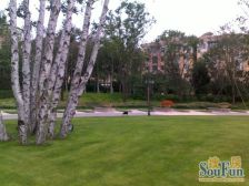 通厅全明格局.精装四室两卫.精装修,位置好,全湖景房