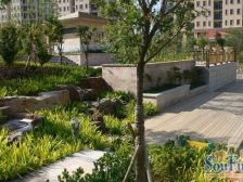 高楼层可看海 好品质低密度社区 视野开阔 景观好