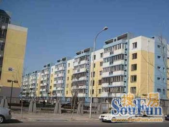 龙锦苑东四区实景图