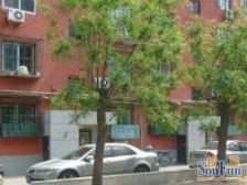 芍药居14号院~南北通透~采光好