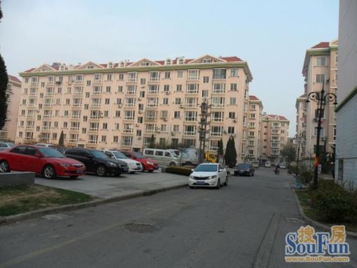 ������Է3��1��1���ϱ�����900.00Ԫ/�³��� 
