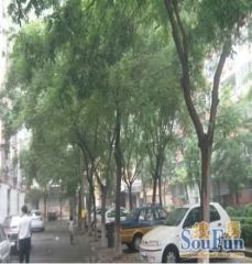西直门北600米,精装南北通透两居,带车位,可看房