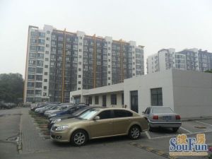 带地下停车位,高楼层双卫两居,方正全朝阳,满五唯一