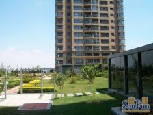 光线好空中花园地脚好距离凯丹近