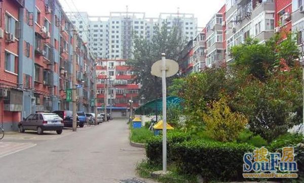 实景图