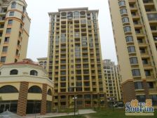 近轻轨 近医院 电梯房 高楼层 采光好