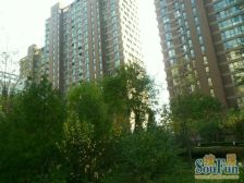 嘉美下跃户型,全明格局,全屋落地窗,使用率高