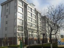 小区中间位置,阁楼+大露台!前后无遮挡!