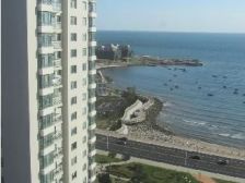 海天名人广场 4室1厅 东南