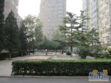 和平街十三区2室1厅西北