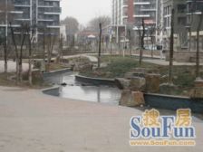 独立入户+南北通透+前后花园+自成天地+院内方便停车