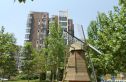 大城小镇实景图