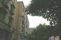 三义庙小区实景图