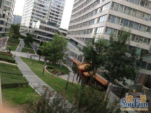 西派国际实景图