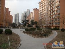 海天花园 打头好楼层 带车库 装修好