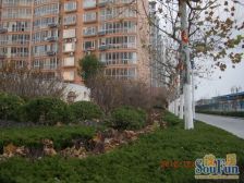 海天花园精装顶加阁,带南向34平大车库