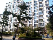 中间位置 南北格局好 精装修 视野采光好 买一层带一层