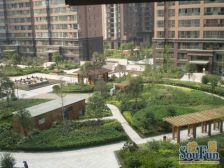 诚心急售 毛坯大复式 随时看房 随时签约