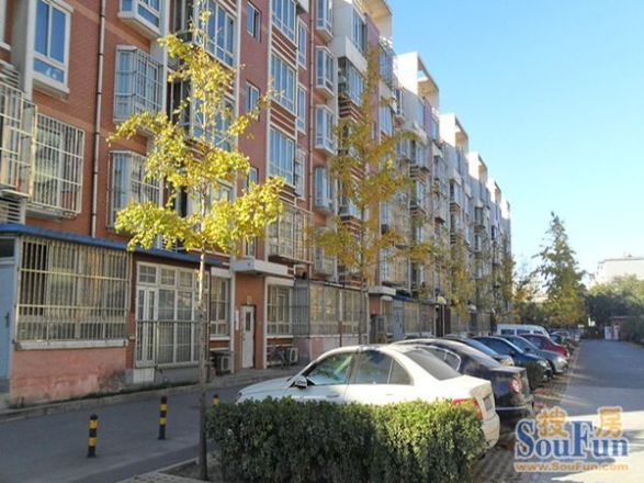 银海星月实景图