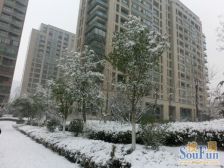 海尔绿城全运村百合园 4室2厅 南 北