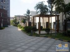 海印长城 前排 无遮挡 电梯房 南北通透 封闭小区