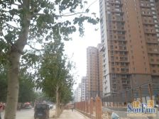 CBD北邻 上下叠墅 使用面积大 价格合适