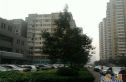 乐城实景图