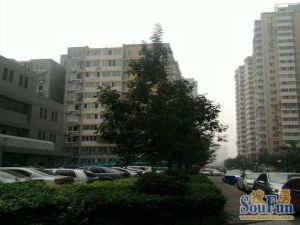 乐城满五唯一中间层采光好视野无遮挡