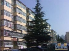石园北区1室1厅东